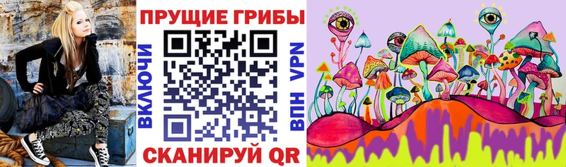 Галлюциногенные грибы GOLDEN TEACHER  Усть-Лабинск 